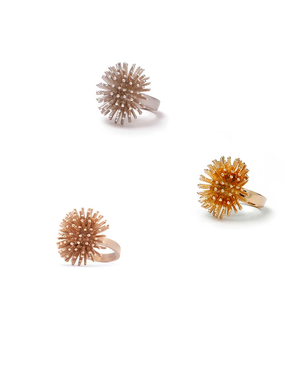 Wits ring